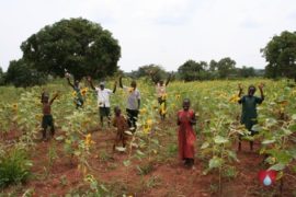 drop in the bucket amokoge primary school lira uganda africa water well-17