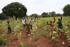 drop in the bucket amokoge primary school lira uganda africa water well-19