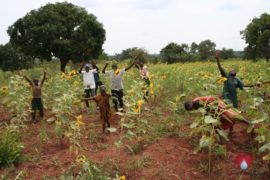 drop in the bucket amokoge primary school lira uganda africa water well-20