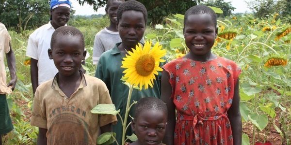 Drop in the Bucket-Africa water well Lira Uganda Amokoge Primary School