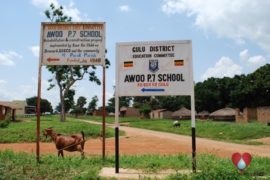 Drop in the Bucket Charity Africa Uganda Awoo Primary School Water Well Photos- 01