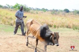 water wells africa uganda drop in the bucket erutu community-22