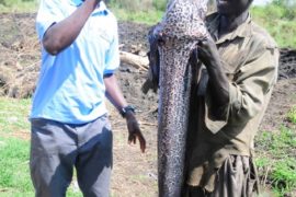 water wells africa uganda drop in the bucket atake kongo community well-216
