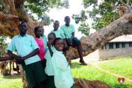 waterwells africa uganda drop in the bucket alaso primary school-09