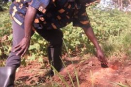 Water wells Africa Uganda Drop In The Bucket Ayile Primary School-69