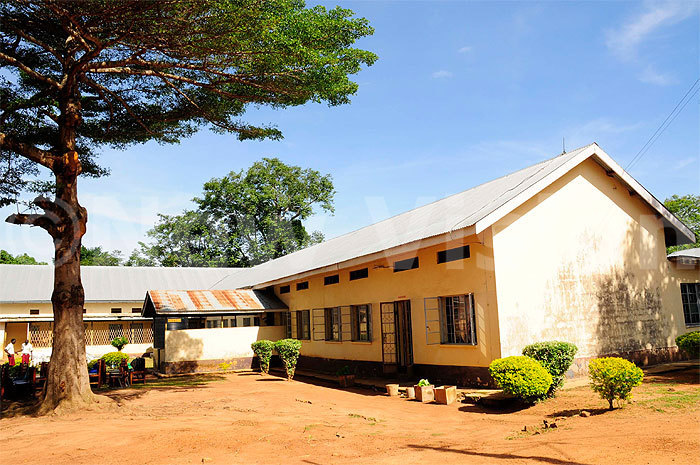 Drop in the Bucket- St Francis Madera School For the Blind, Uganda. New Vision Article