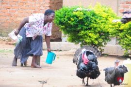 drop in the bucket water wells uganda kumi comprehensive secondary school-201