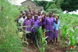 water well africa uganda drop in the bucket st bruno nabitimpa primary school-15
