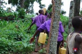 water well africa uganda drop in the bucket st bruno nabitimpa primary school-70