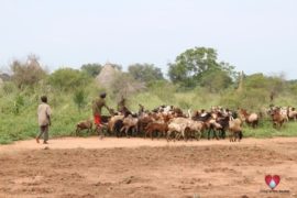 water wells africa south sudan drop in the bucket loguruny primary school-103