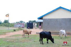 water wells africa uganda drop in the bucket omulala primary school-117