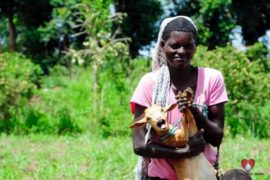 water wells africa uganda drop in the bucket apilipo community charity-03