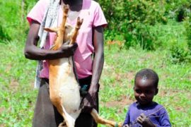 water wells africa uganda drop in the bucket apilipo community charity-04