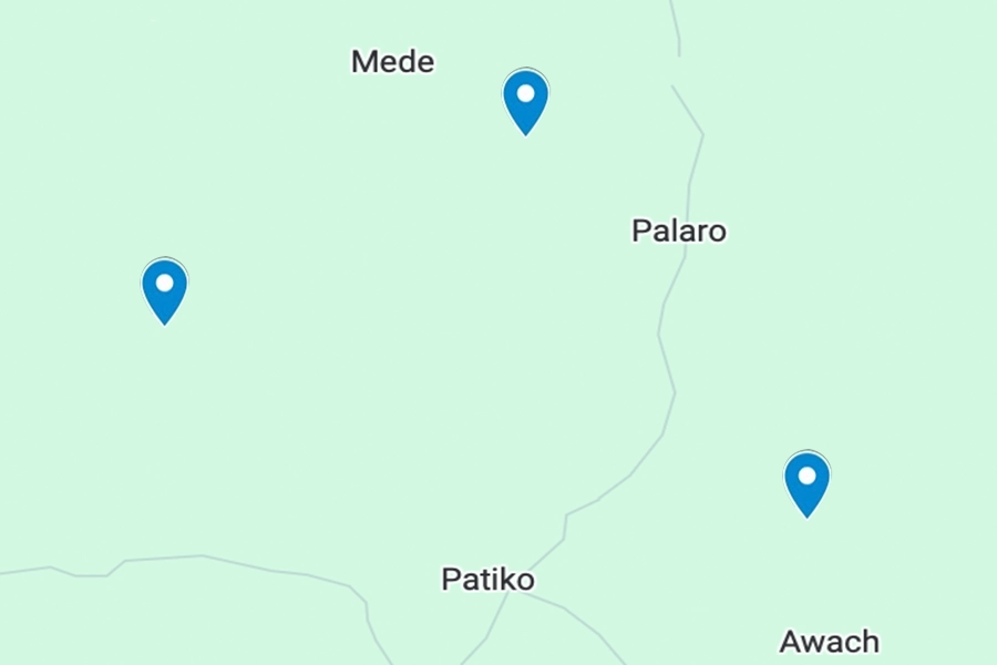 Google map with blue flags to signify water wells
