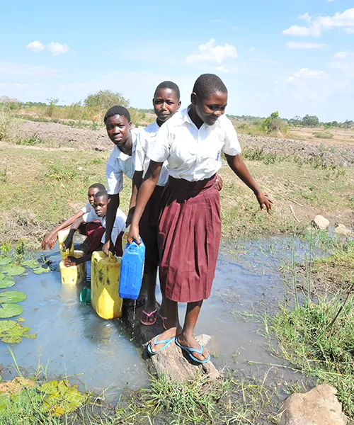A group of students carrying containers of water that they have just collected from a swamp